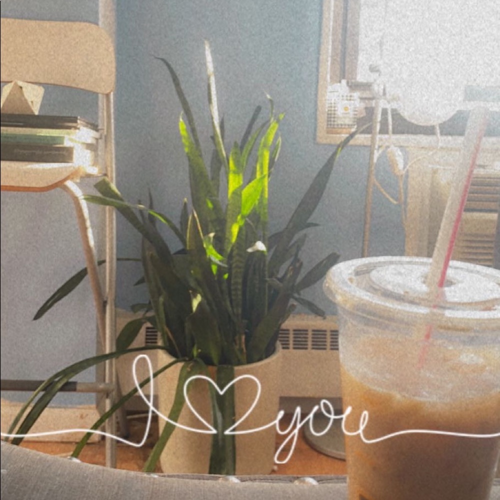 Meet your Posher, Crystal